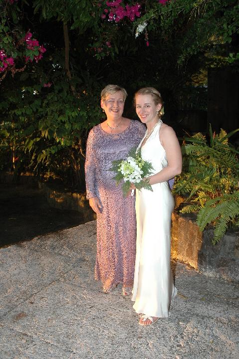 Click for original image 330k 511x768